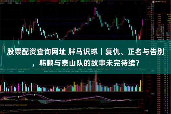 股票配资查询网址 胖马识球丨复仇、正名与告别，韩鹏与泰山队的故事未完待续？